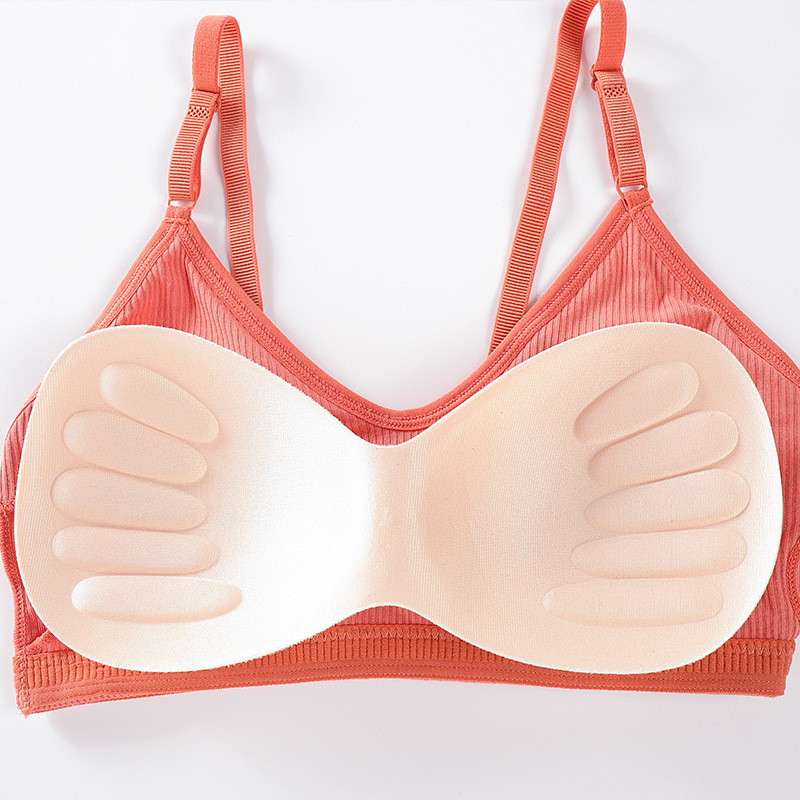 Summer Wire Free Bra Women Sea - đánh giá và giá T Shirt Bra Seamless